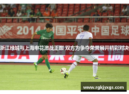 浙江绿城与上海申花激战正酣 双方为争夺荣誉展开精彩对决