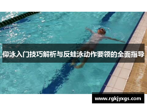 仰泳入门技巧解析与反蛙泳动作要领的全面指导