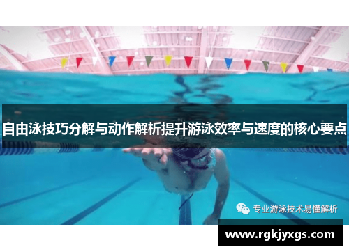 自由泳技巧分解与动作解析提升游泳效率与速度的核心要点
