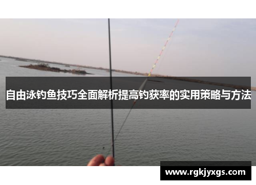 自由泳钓鱼技巧全面解析提高钓获率的实用策略与方法